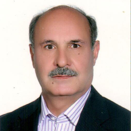 مهدی فرزین
