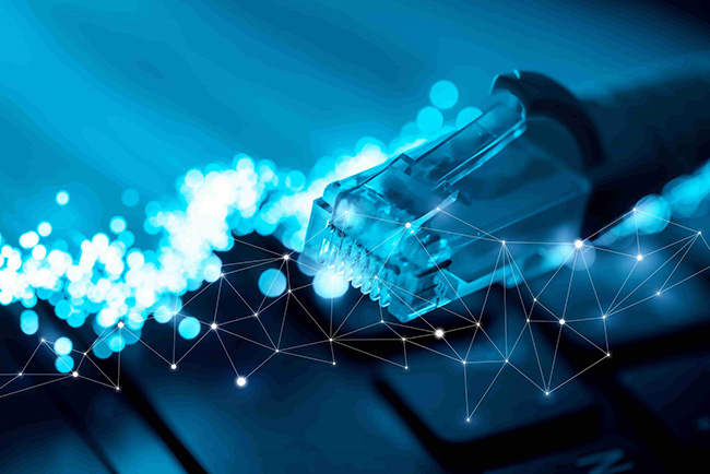 Optical Fiber Network